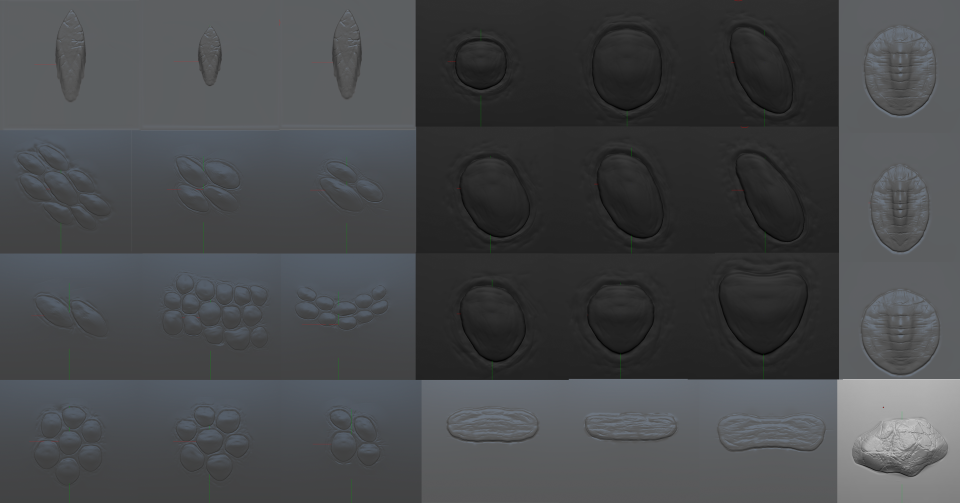 Scales